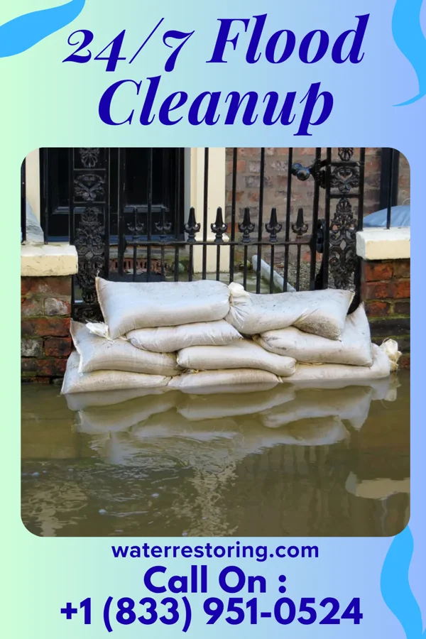 24/7 Flood Cleanup in Diagonal, IA