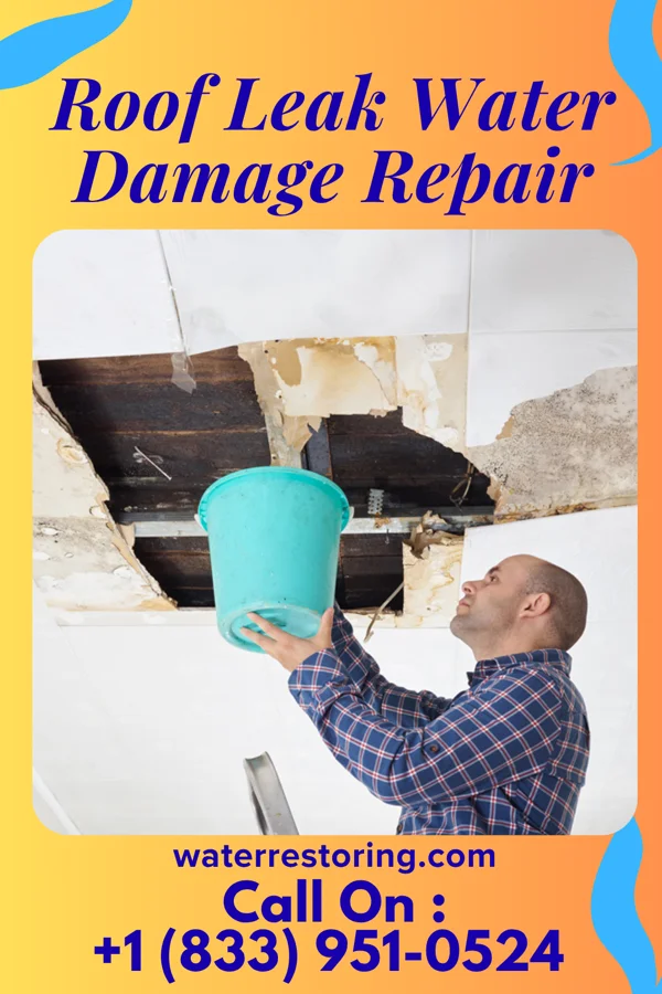 Roof Leak Water Damage Repair in Diagonal, IA
