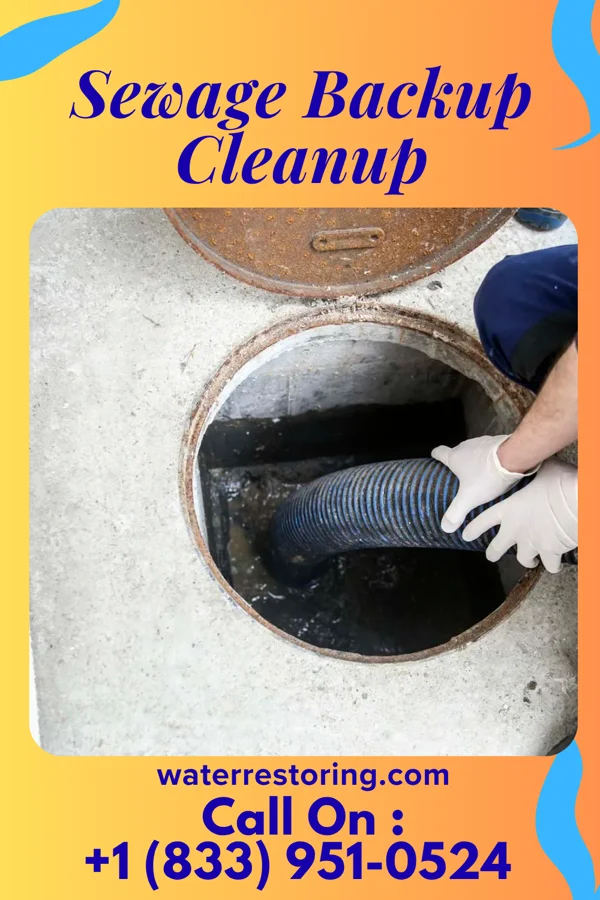 Sewage Backup Cleanup in Diagonal, IA